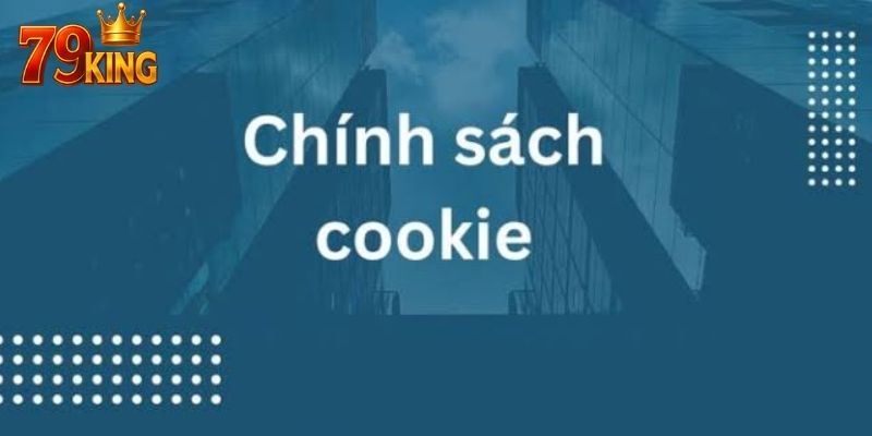 Chính sách luôn đi kèm cơ chế kiểm soát quyền riêng tư